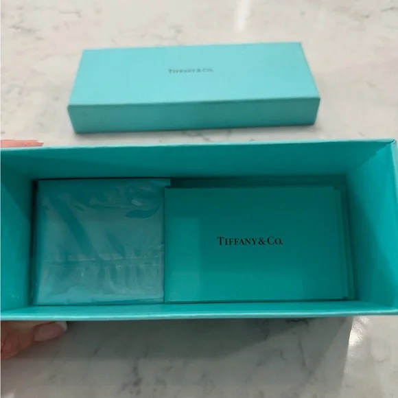 Tiffany & Co. Black, Tiffany Blue & Silver Eyeglasses-NEW! - Picture 7 of 9